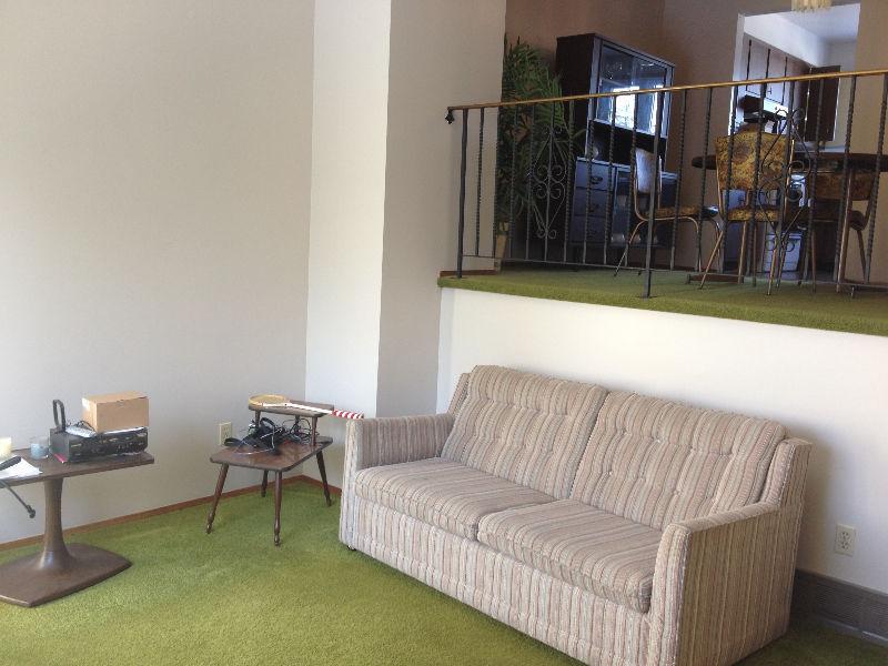 SUMMER SUBLET - CHEAP AND SPACIOUS