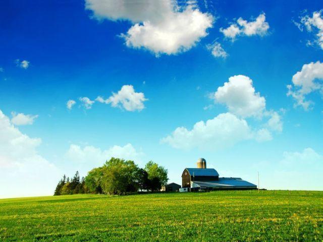 Wanted: Lambton County Farm Land for Cash Rent or Share Crop