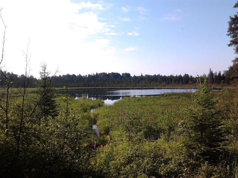 144 Acre lot with timber, lakes, road access & hydro, Cochrane