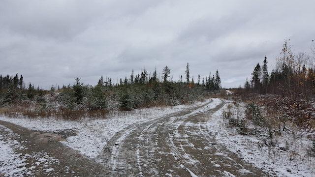 80 acres hunting grounds 25 km S of Kirkland lake