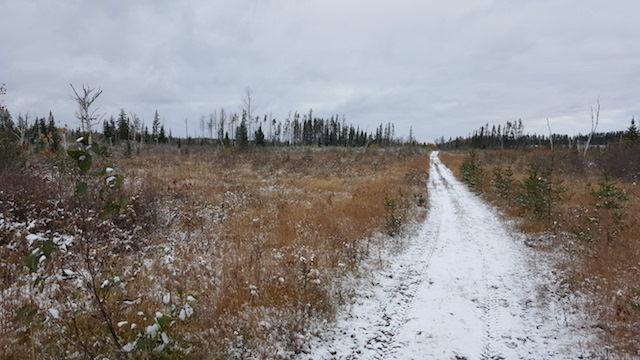 80 acres hunting grounds 25 km S of Kirkland lake