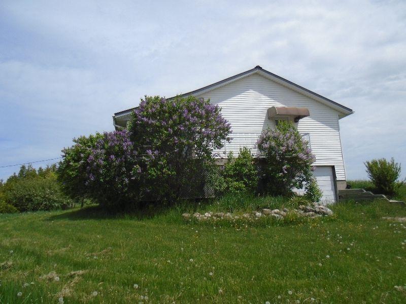 Cottage for rent arron lake bruce county RENT