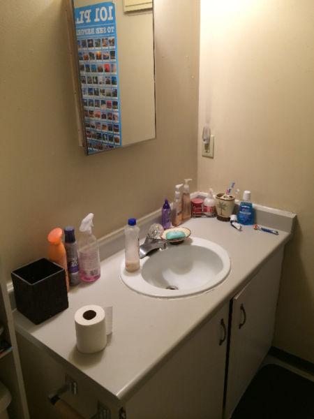 Looking For Roommate