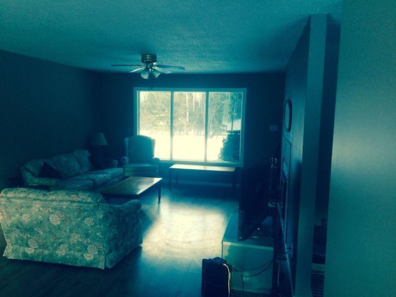 Room for rent in shared house