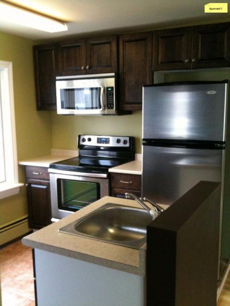 All Inclusive heat/lights/internet, Right Downtown, 1 Bedroom