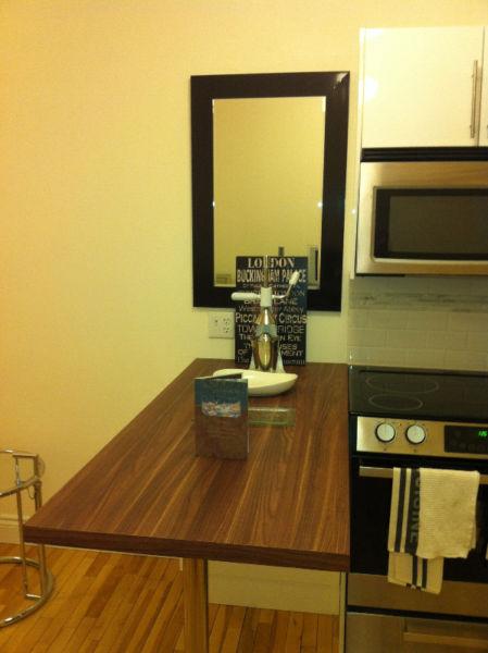 Fully furnished and renovated one bedroom apt Queen/Grafton