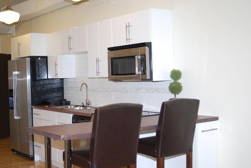 Fully furnished and renovated one bedroom apt Queen/Grafton