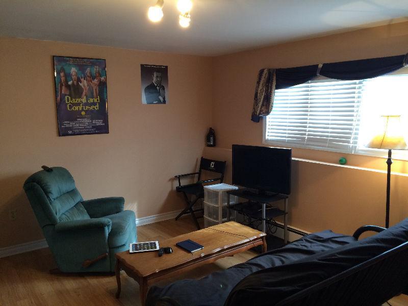 Furnished 1 Bedroom Apartment Available April 5th