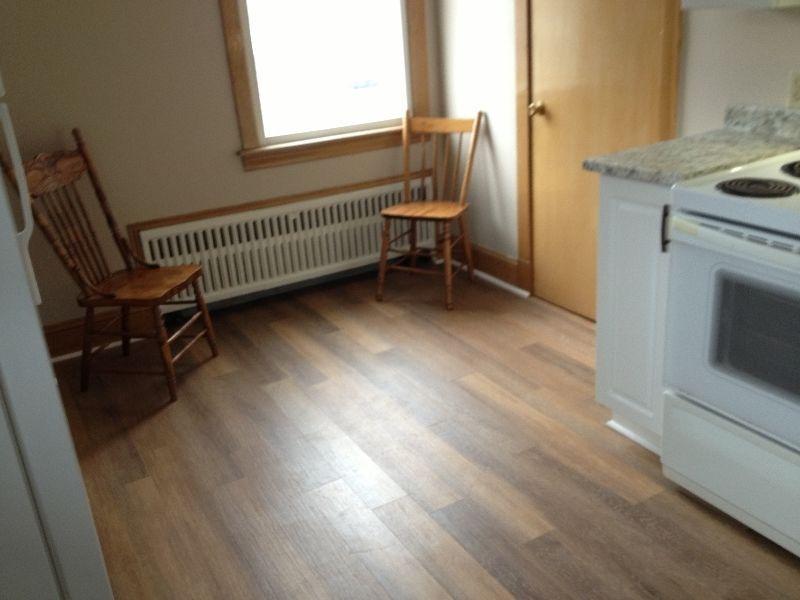 Quiet 1 Bedroom apt. available for rent immediately in Brighton