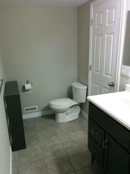 Brand new, never been lived in, one bedroom basement apartment