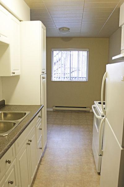 Windsor 1 Bedroom Apartment for Rent: Students, walk to campus!