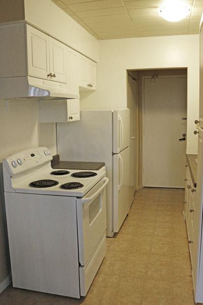 Windsor 1 Bedroom Apartment for Rent: Students, walk to campus!