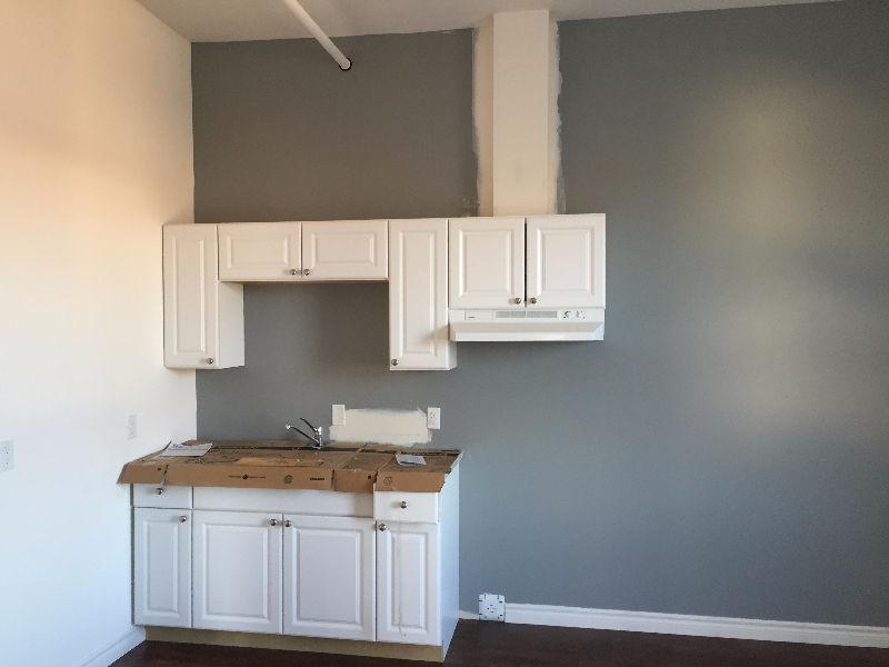 BRAND NEW ONE BEDROOM APT IN TILLSONBURG