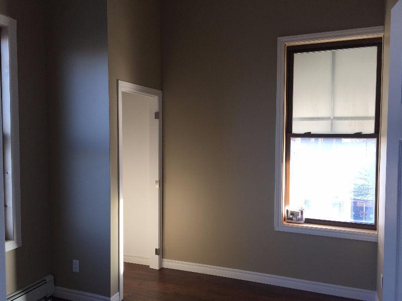 BRAND NEW ONE BEDROOM APT IN TILLSONBURG