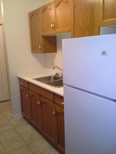 COZY 2BR LOWER LEVEL H/HW/ELECTRICITY/ELEVATOR $790