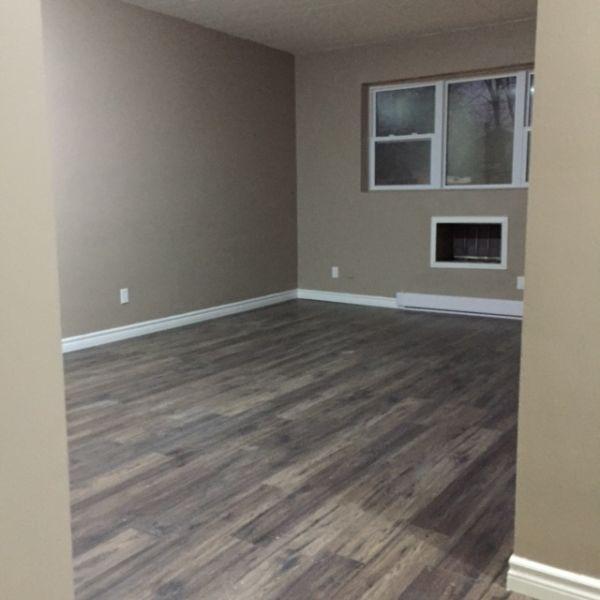 BRAND NEW RENOS 1 BDRM APT $950 INC - STEPS FROM LITTLE ITALY!