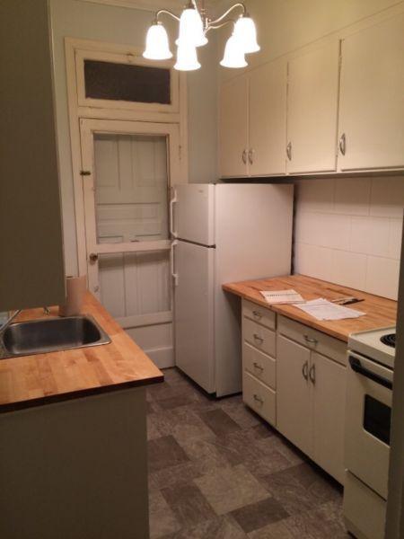 Newly Renovated 2 Bedroom in Downtown Core