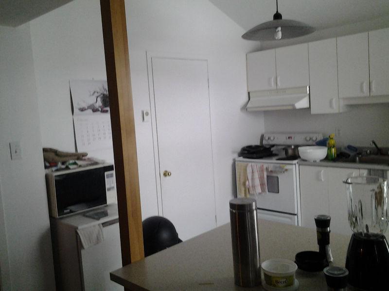 Tres beau loft.... a qui la chance