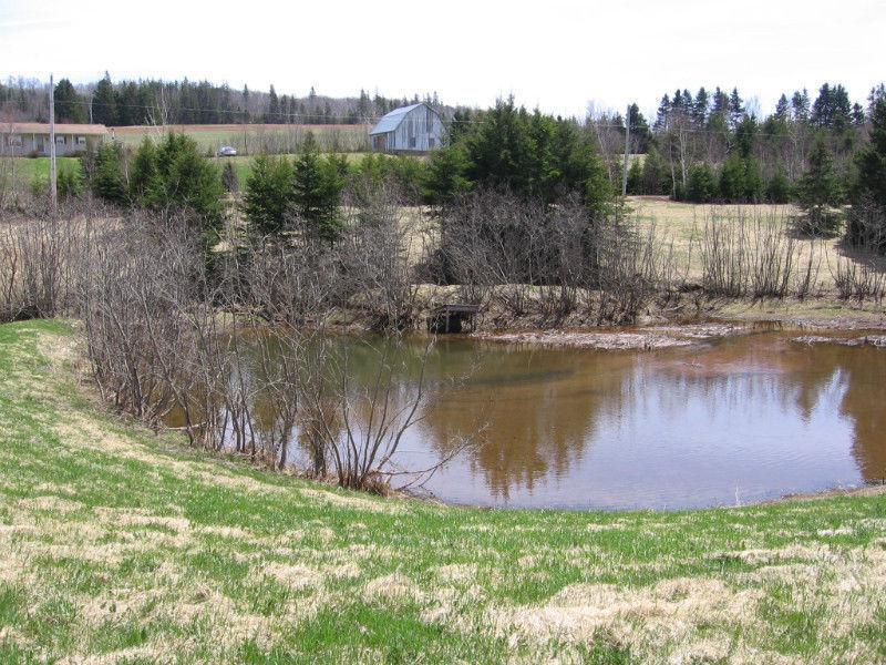 NEW COTTAGE/CABIN BUILT ON A LARGE WOODED PRIVATE LOT IN THE HIL