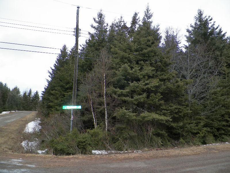 0.4 acre wooded lot with storage building in Brackley Beach