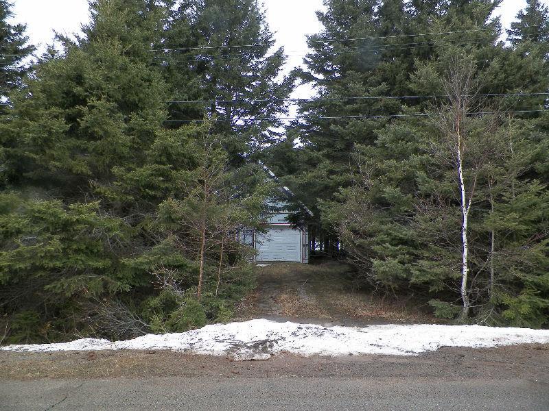 0.4 acre wooded lot with storage building in Brackley Beach