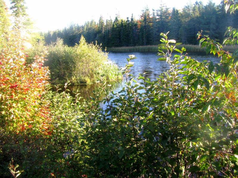 10 Acre Waterfront Hopefield Cottage Lot