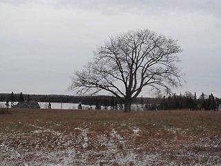 Picturesque Waterview building lot