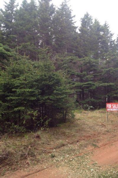 Stanhope lot for sale