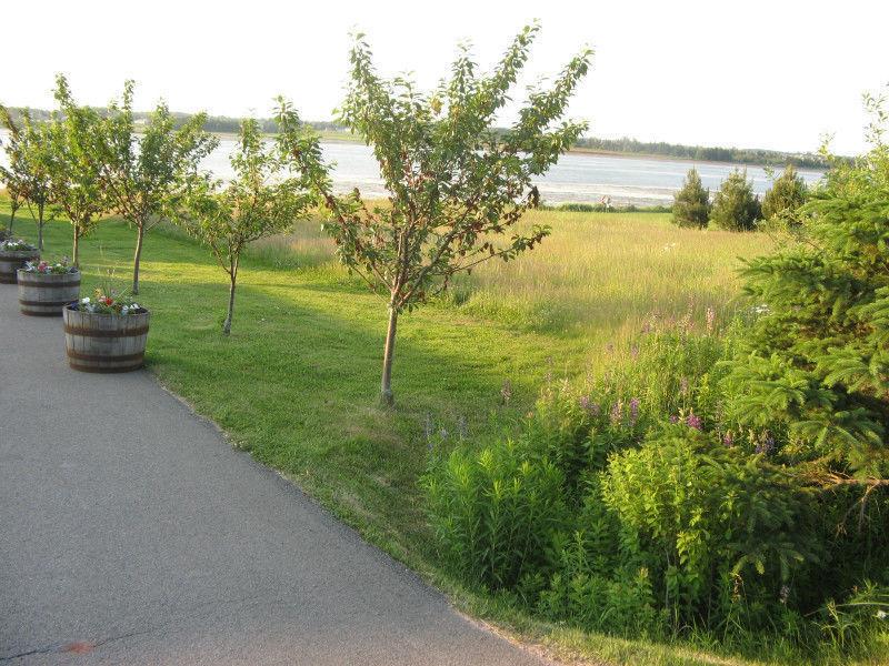 Schurman's Point Waterfront Lot