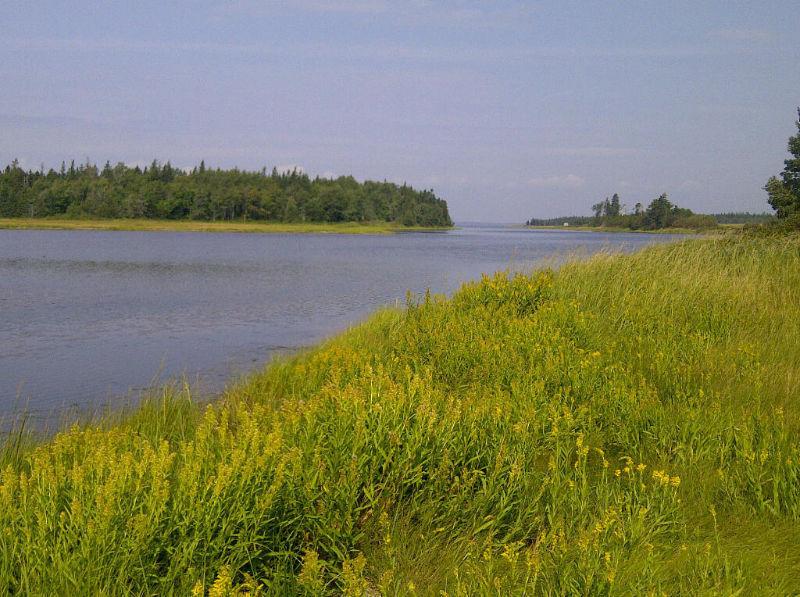 Victoria West Waterfront Property for sale 20 acres PEI Canada