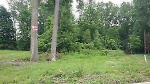 Building Lot LaSalle, backing onto wooded Conservation Lands
