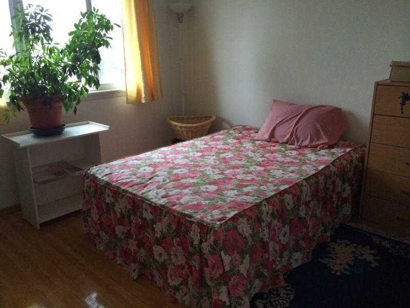 Spacious and Bright Room for Rent