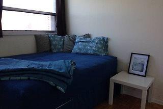 1 Bed Apart Furnished Downtown  Available next Monday Mar