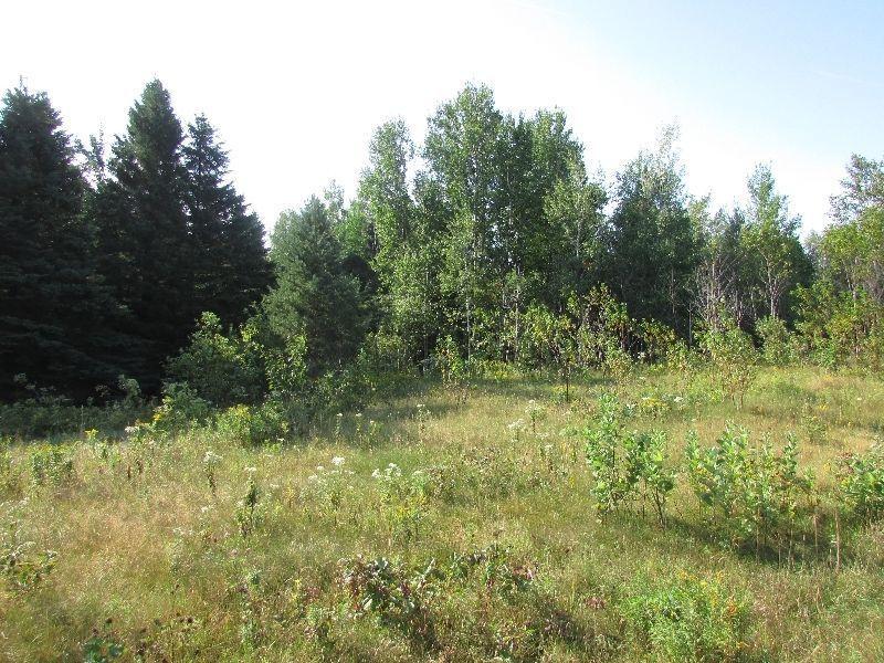 Terrain, desservi `` eau et égout`` pouvant être vendu en partie