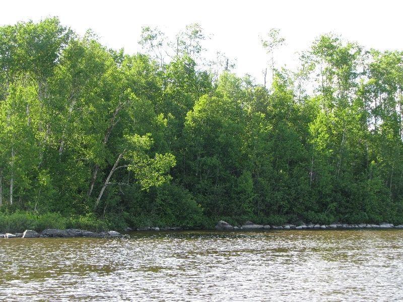 Terrain au bord de l'eau lac La Motte près d'Amos