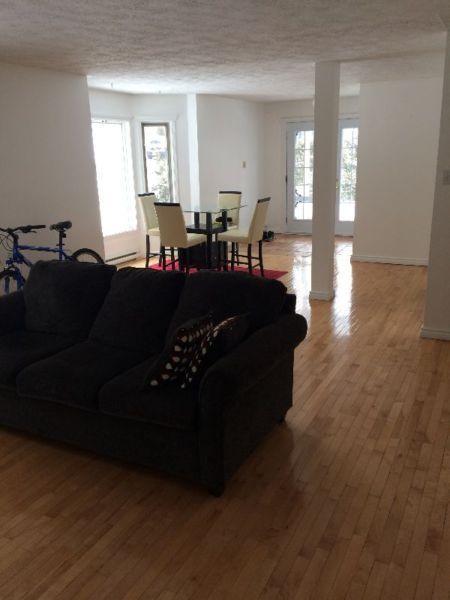 Grand 3 1/2 de style loft libre immédiatement