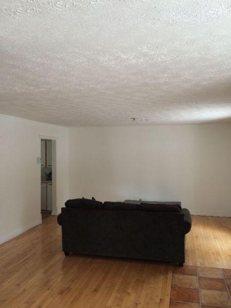 Grand 3 1/2 de style loft libre immédiatement