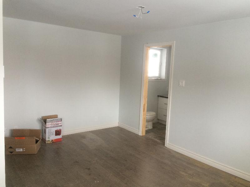 Loft 3.5 rénové a neuf à air ouverte