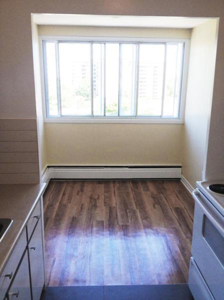 Montreal 2 bedroom premium (4 1/2) Apartment for Rent: Recent