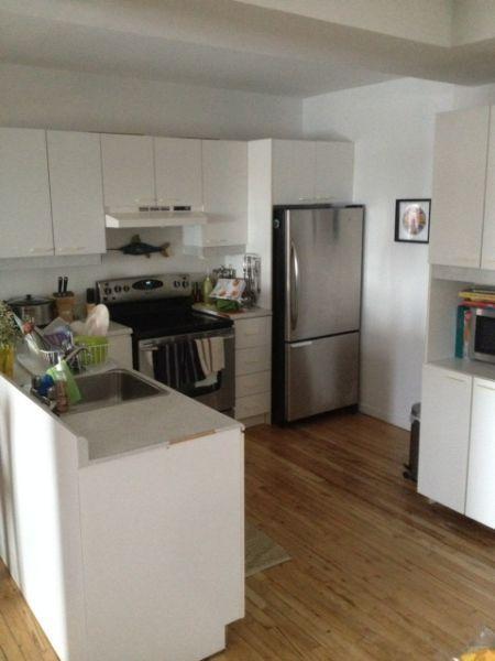 ue époustouflante sur le fleuve, loft 5 ½, juillet