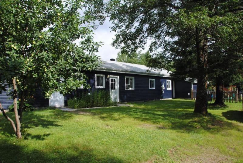 Maison - à vendre - Saint-Faustin/Lac-Carré - 17599405