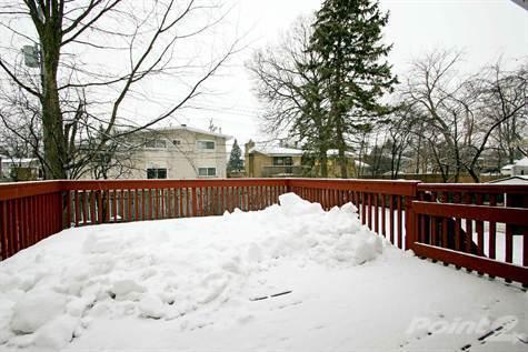 38 Elderidge