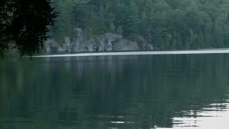 60 minutes de MTL Lac limpide,bord de l'eau ,plage, 52000pc
