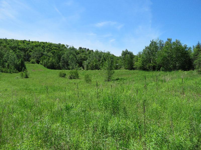 Terrain à vendre St-Jean de Matha | Lac Noir