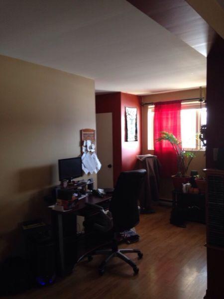 Beau grand 3 1/2 loft