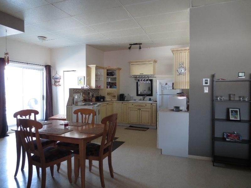 Loft de 850 pi2 - Libre 1 juillet