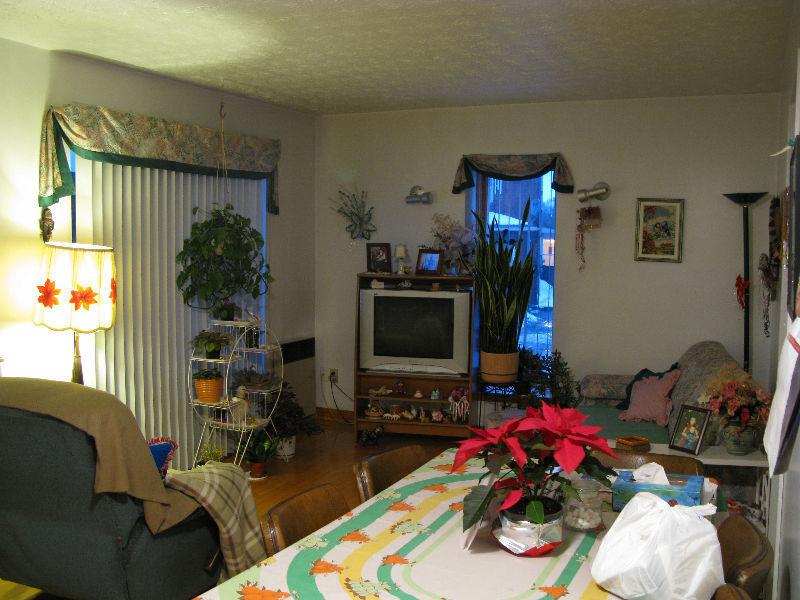 3 1/2 style loft, pl. bois franc