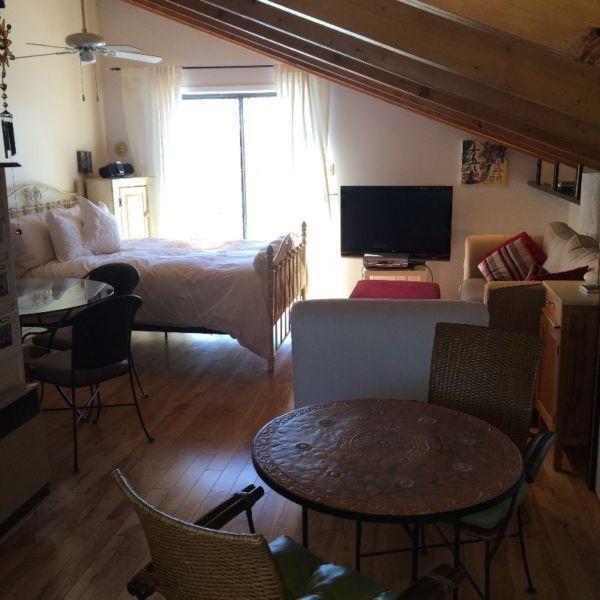 LOFT CHAUFFÉ ET ÉCLAIRÉ BORD DE L'EAU