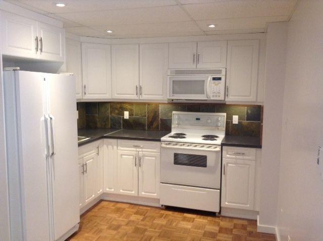 1 bdr walkout basement suite for rent