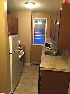 BEAUTIFUL NEWLY RENEVATED 1 BDRM CONDO ,A.S.A.P OR APR 1